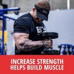 Grass Fed Whey Protein Isolate Powder - Vanilla