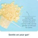 Ancient Nutrition Grass Fed Whey Protein, Vanilla Bean