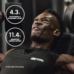 Gold Standard Whey Protein Isolate by Optimum Nutrition