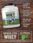 Carlyle Grass Fed Whey Protein Powder - 5lb
