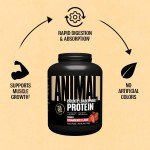Animal Whey Isolate Protein Powder - Strawberry 4lb