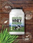 Carlyle Grass Fed Whey Protein Powder – Unflavored 2lb