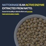 Nattokinase 100mg - 150 Capsules for Health Support