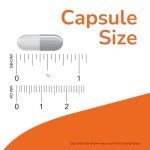 NOW Foods Psyllium Husk Caps 500 mg, 500 Veg Capsules