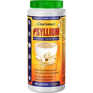 Psyllium Husk Capsules Supplement - 500 Count