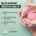 Psyllium Husk Capsules Supplement - 500 Count
