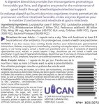 Probiotic and Digestive Enzyme Supplement for Wellness