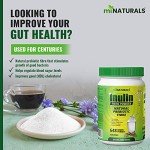 Pure Inulin Fiber Powder Supplement - 648g