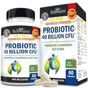 Daily Probiotic for Gut Health - 60 Capsules