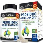 Daily Probiotic for Gut Health - 60 Capsules