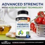 Daily Probiotic for Gut Health - 60 Capsules