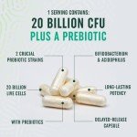 20 Billion CFU Probiotics & Prebiotics Supplement 60ct