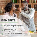 Daily Probiotic for Gut Health - 60 Capsules