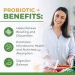 Digestive Support Probiotic with Enzymes & Prebiotics