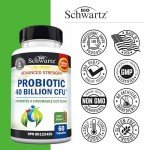 Daily Probiotic for Gut Health - 60 Capsules