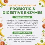Digestive Support Probiotic with Enzymes & Prebiotics