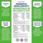Daily Probiotic for Gut Health - 60 Capsules