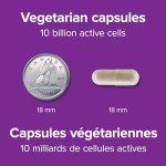 Webber Naturals Vegan Probiotic with Prebiotic, 90 Capsules