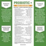 Digestive Support Probiotic with Enzymes & Prebiotics