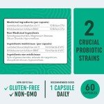 20 Billion CFU Probiotics & Prebiotics Supplement 60ct