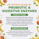 Digestive Support Probiotic with Enzymes & Prebiotics