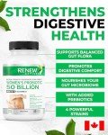 Renew Actives Women's Probiotics with Prebiotic Blend