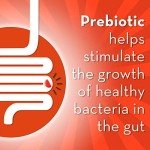 Align Prebiotic + Probiotic Gummies for Gut Health