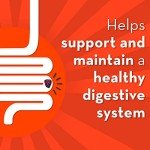 Align Dualbiotic Prebiotic & Probiotic Gummies, 60 Count