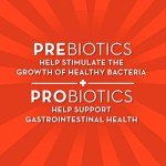 Align Dualbiotic Prebiotic & Probiotic Gummies, 60 Count