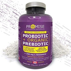Organic Probiotic + Prebiotic Powder for Digestive Health