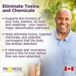 Organic Probiotic + Prebiotic Powder for Digestive Health