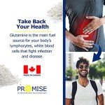 Organic Probiotic + Prebiotic Powder for Digestive Health