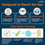 100 Billion CFU Probiotic Supplement for Everyone