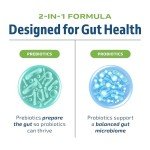Synbiotic Probiotic Capsules for Gut Health – 60 Veggie Caps