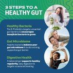 Synbiotic Probiotic Capsules for Gut Health – 60 Veggie Caps