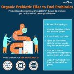 100 Billion CFU Probiotic Supplement for Everyone