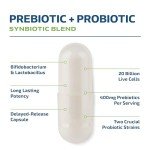Synbiotic Probiotic Capsules for Gut Health – 60 Veggie Caps