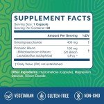 Synbiotic Probiotic Capsules for Gut Health – 60 Veggie Caps