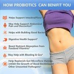 OMOGS Probiotics 120 Billion CFUs & 3 Prebiotics