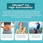 Zentastic Probiotics & Prebiotics - 60 Veggie Capsules