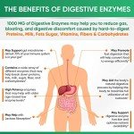 Organic Digestive Enzymes with Prebiotics & Probiotics