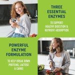 Digestive Enzymes & Probiotics for Bloating Relief