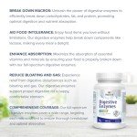 MapleLife Complete Digestive Enzyme - 90 Capsules