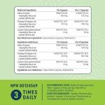 Digestive Enzymes & Probiotics for Bloating Relief