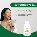 Digestive Enzymes with HCL & Papaya - 100 Veg Caps