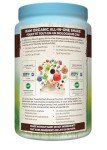 Garden of Life Chocolate Plant Protein Shake, 28 Servings