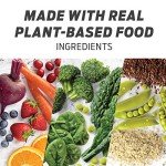 Vega Vegan Protein Powder - French Vanilla 20 Servings