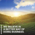 Garden of Life Chocolate Plant Protein Shake, 28 Servings