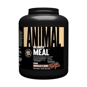 High Calorie All-Natural Meal Shake for Animals