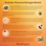 BioSync Nighttime Fat Burner for Women - 60 Capsules